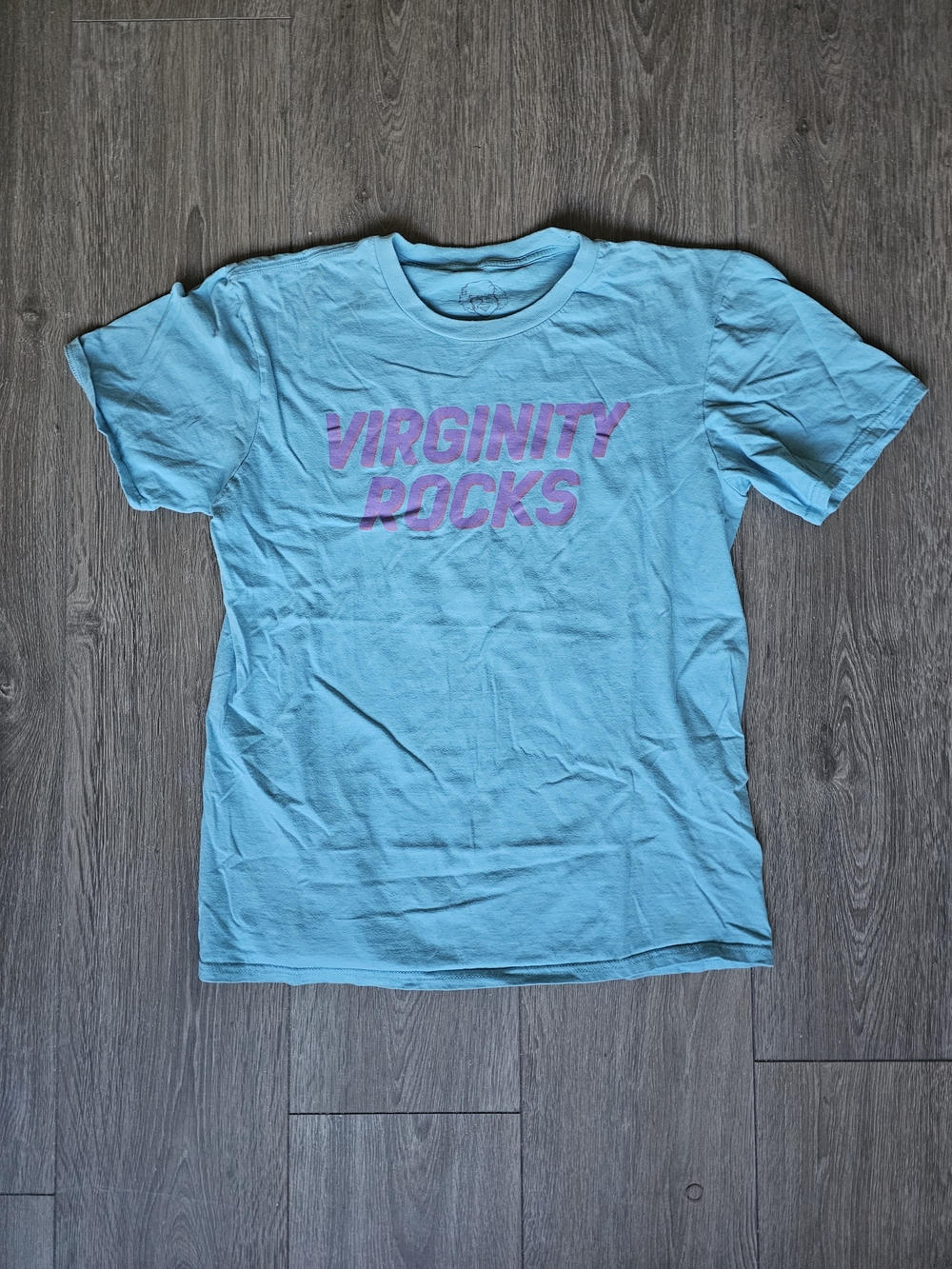 Virginity Rocks Aqua Graphic Tee by